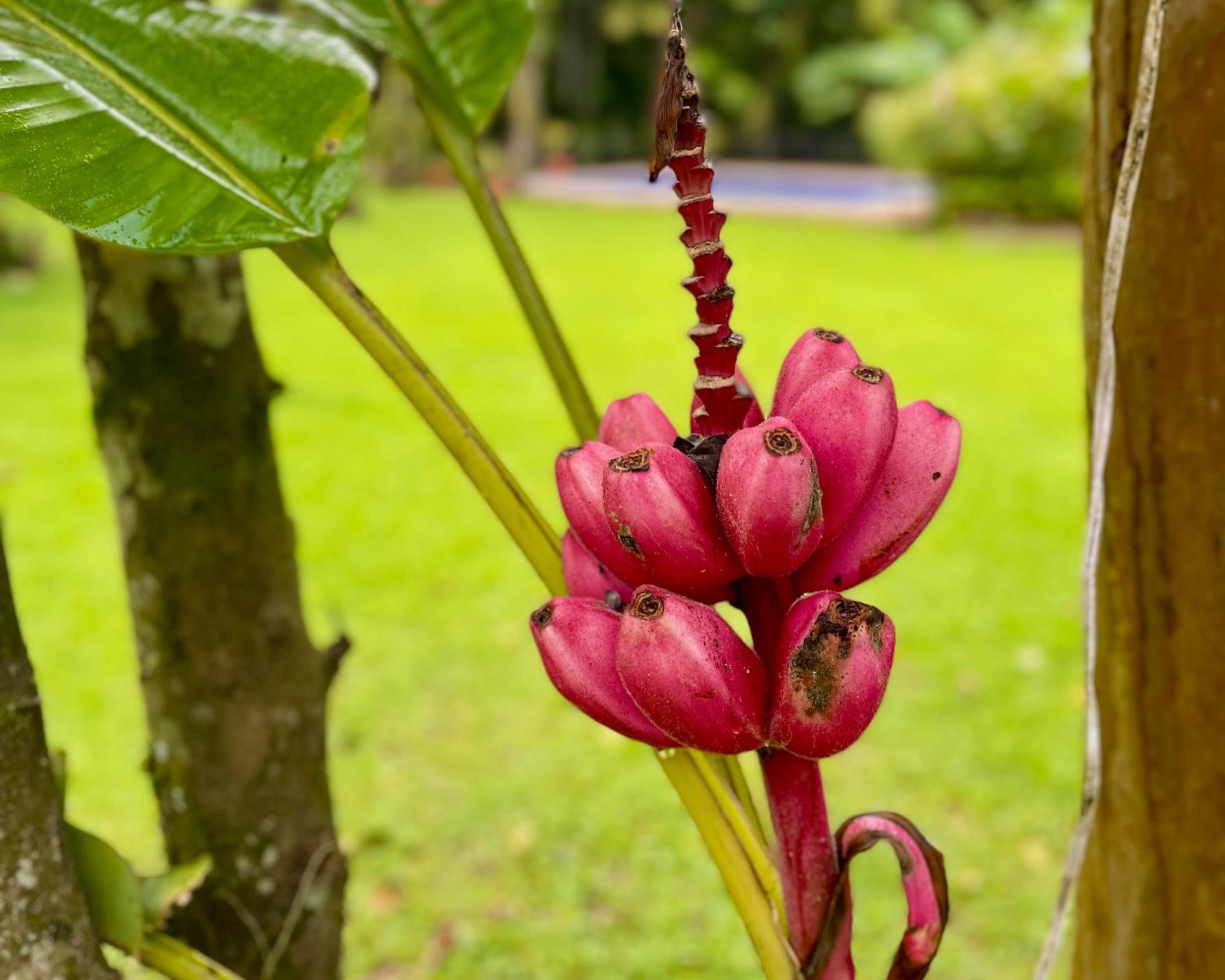 Casa Park Villa Paraty Luaran gambar